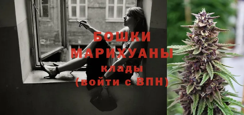 Бошки Шишки White Widow  Буй 